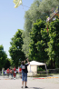 _MG_8870.jpg